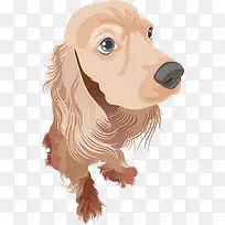 ��ͨ�ɰ�С����װ�ζ���ͷ�񹷹�-������