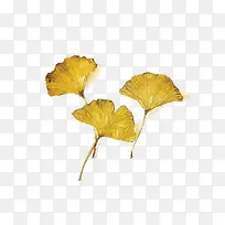 水彩叶子-空若网 水彩叶子-空若网