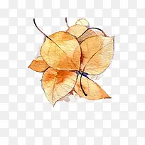 水彩叶子-空若网 水彩叶子-空若网
