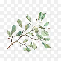 水彩叶子-空若网 水彩叶子-空若网