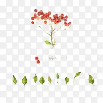 水彩植物-空若网 水彩植物-空若网