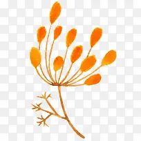 Ë®²ÊÖ²Îï-¿ÕÈôÍø Ë®²ÊÖ²Îï-¿ÕÈôÍø