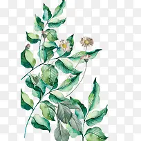 ��ɫ�ֻ濨ͨҶ��-������