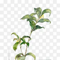 Ë®²ÊÒ¶×Ó-¿ÕÈôÍø Ë®²ÊÒ¶×Ó-¿ÕÈôÍø