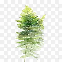 ˮ��Ҷ��-������