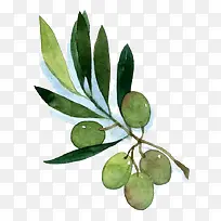 水彩叶子-空若网 水彩叶子-空若网