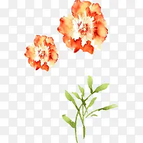 水彩花朵-空若网 水彩花朵-空若网