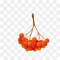 手绘水果-空若网 手绘水果-空若网