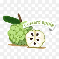 卡通手绘水果-空若网 卡通手绘水果-空若网