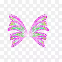 ������춡��������ϵ-������