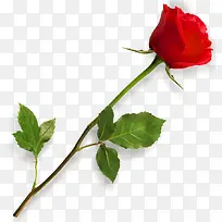 节日元素-空若网 节日元素-空若网