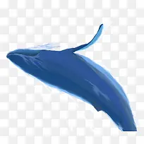 �ֻ澨��PNG-������