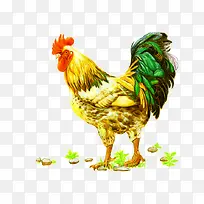 �ֻ湫��-������