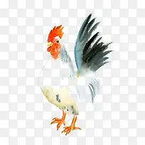 水彩公鸡-空若网 水彩公鸡-空若网