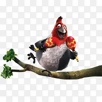 公鸡卡通公鸡站在树枝上公鸡-空若网 公鸡卡通公鸡站在树枝上公鸡-空若网