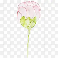 手绘花朵-空若网 手绘花朵-空若网