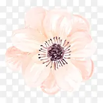 �ֻ滨��-������