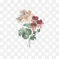 �����ֻ�-������