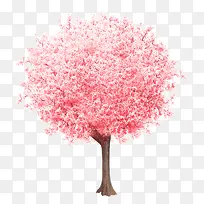 ��ͨ�ֻ������ķ�ɫ����-������