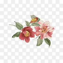 手绘鲜花-空若网 手绘鲜花-空若网