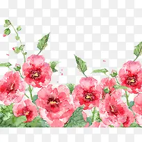 水彩鲜花-空若网 水彩鲜花-空若网