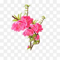 ÷���ز�-������