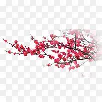 ÷��-������