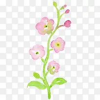 好看梅花水彩-空若网 好看梅花水彩-空若网