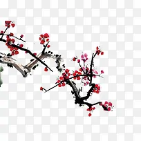 梅花-空若网 梅花-空若网