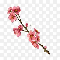 水彩梅花-空若网 水彩梅花-空若网