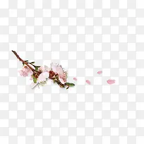 ÷��-������