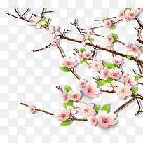 梅花-空若网 梅花-空若网