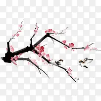 梅花-空若网 梅花-空若网