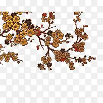 ��ͨ÷��-������