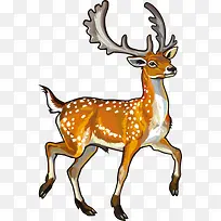矢量梅花鹿-空若网 矢量梅花鹿-空若网