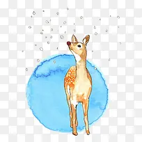 �ֻ�ˮ��÷��¹-������