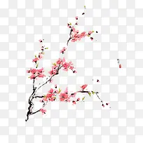 手绘梅花-空若网 手绘梅花-空若网