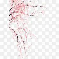 ��֦÷��-������