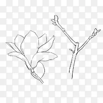 手绘梅花-空若网 手绘梅花-空若网