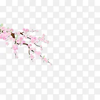 手绘梅花-空若网 手绘梅花-空若网