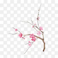 树枝-空若网 树枝-空若网