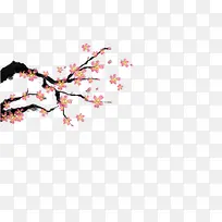 梅花手绘-空若网 梅花手绘-空若网