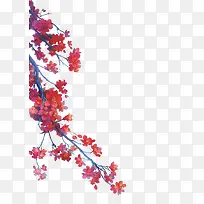 水彩梅花-空若网 水彩梅花-空若网