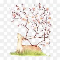 ��ͨ÷��¹-������