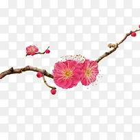 开着梅花-空若网 开着梅花-空若网