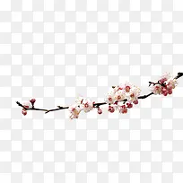 中国风树枝-空若网 中国风树枝-空若网