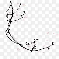 ΨÃÀ÷»¨-¿ÕÈôÍø ΨÃÀ÷»¨-¿ÕÈôÍø