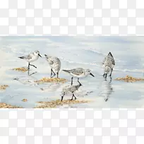 Ë®²Ê»ðÃðÉË®²Ê»Äñ-¿ÕÈôÍø Ë®²Ê»ðÃðÉË®²Ê»Äñ-¿ÕÈôÍø