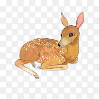 �ֻ�÷��¹-������