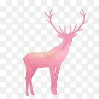 鹿-空若网 鹿-空若网